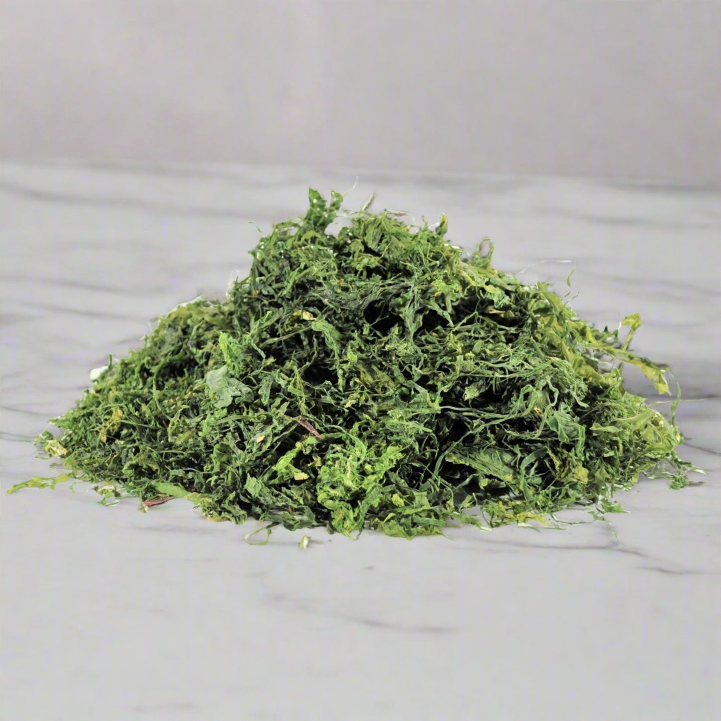 Atlantska spirulina